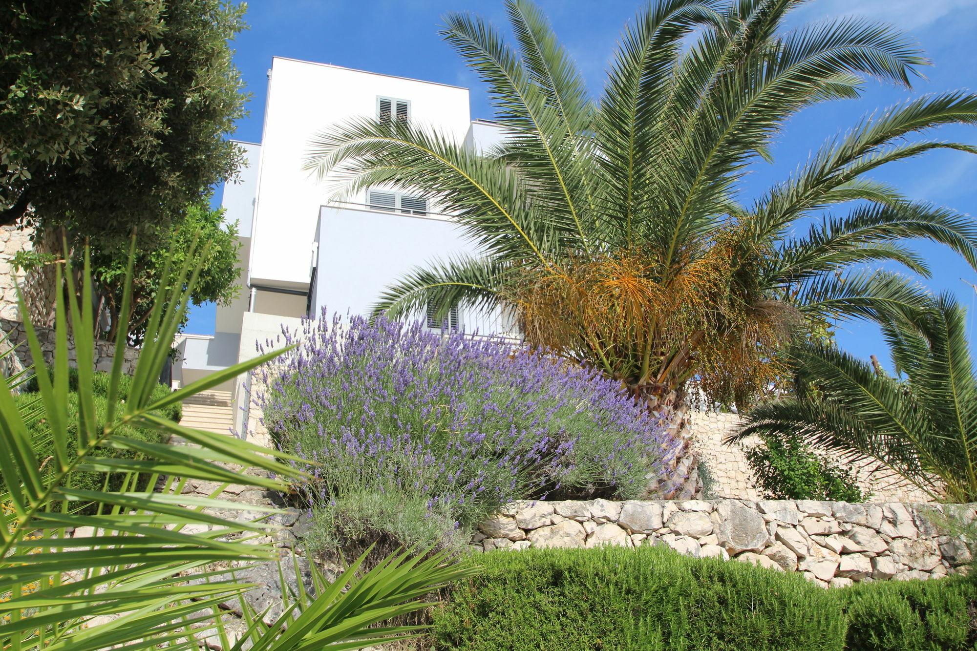 Villa Lavanda Deluxe Rogoznica  Dış mekan fotoğraf
